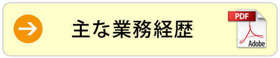 主な業務経歴